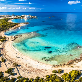 Maiorca