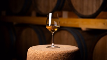 Vino in Sardegna